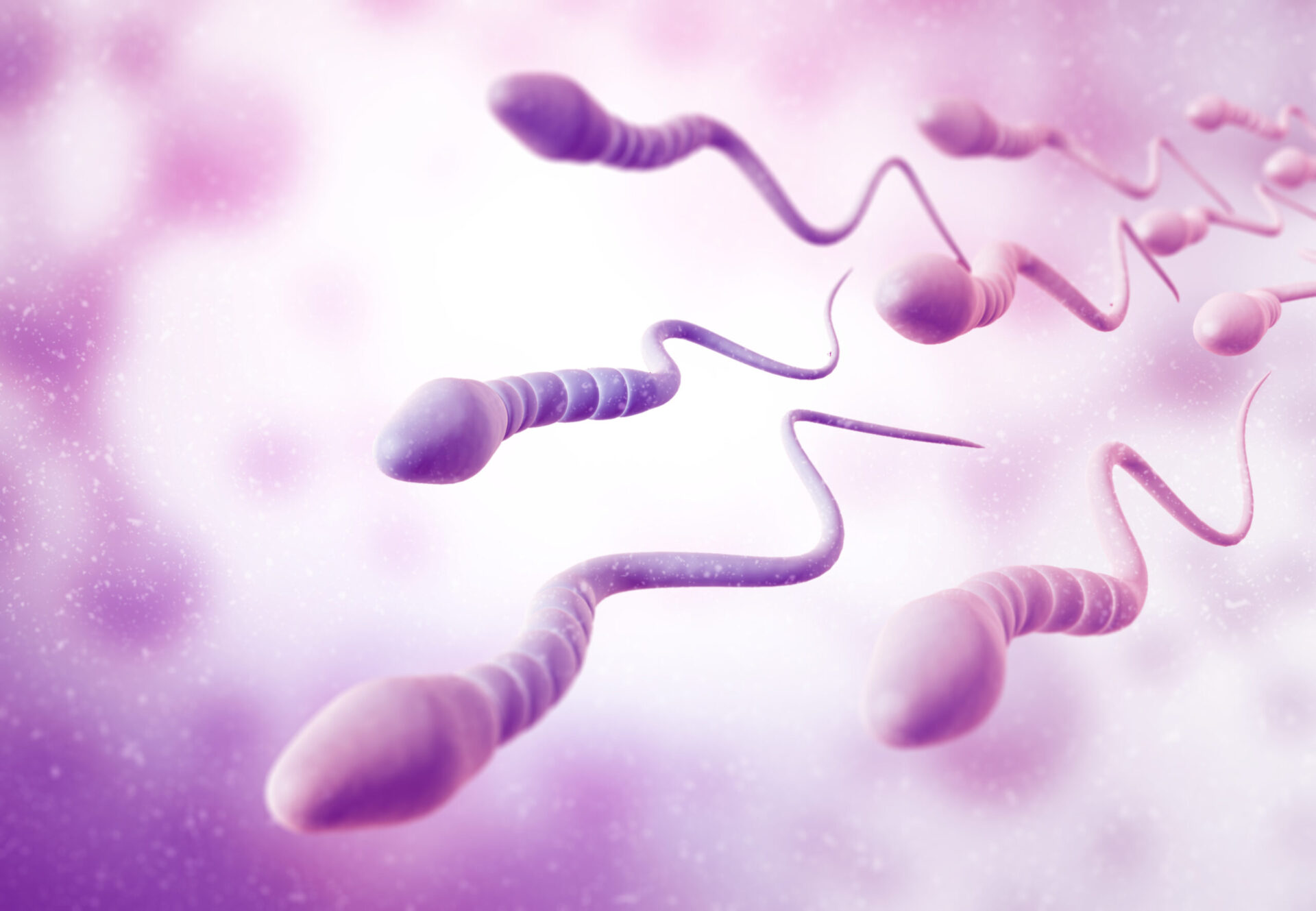 What Do the Results of My Sperm Analysis Mean?