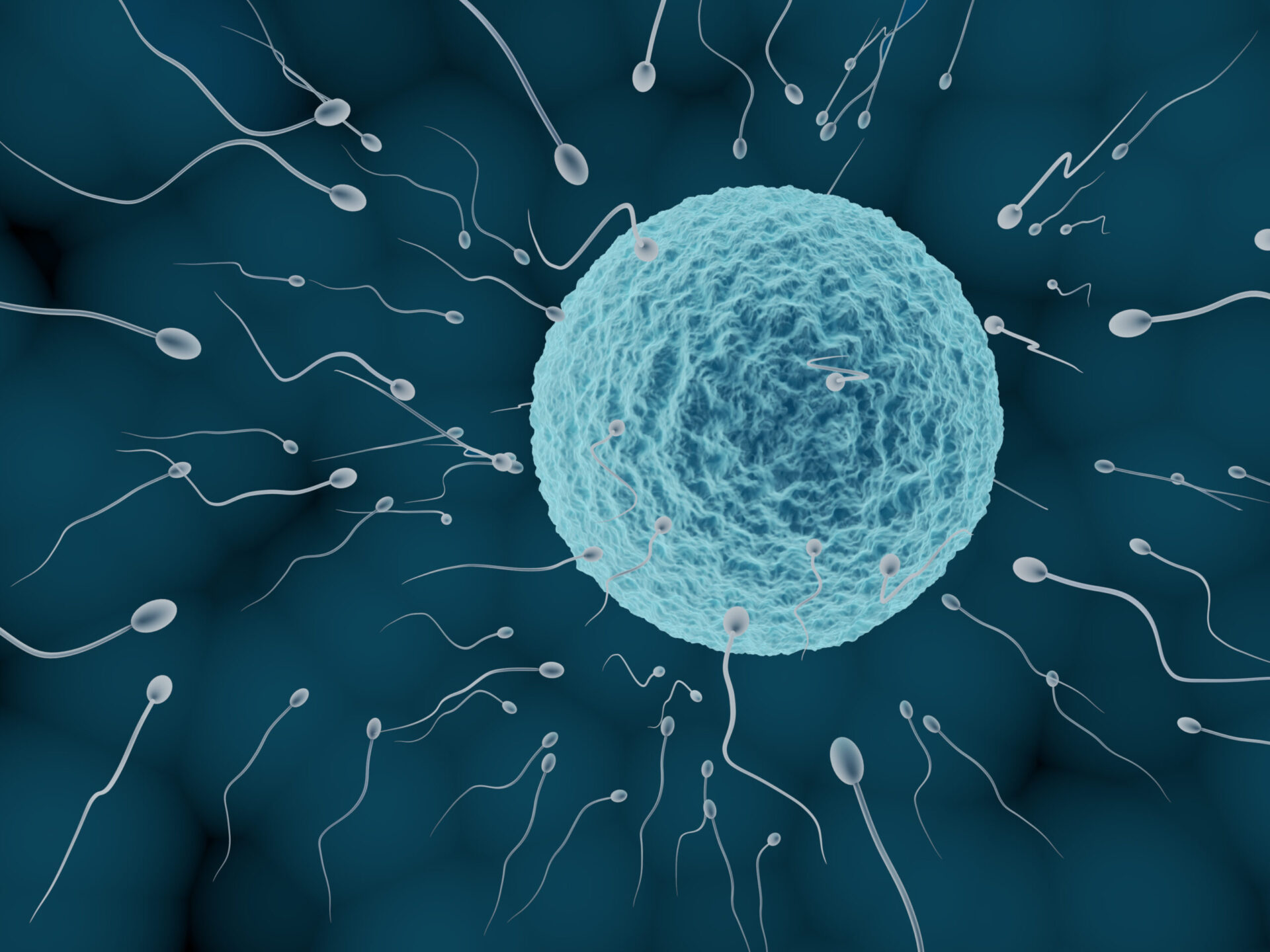 Emotional breakdown during IVF journey, what to do when sperm quality is low?