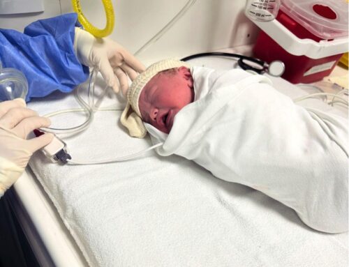 Historia de L., Ireland