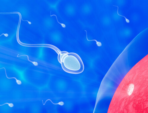 The Male Role in Surrogacy: Responsibility, Emotion, and Decision-Making