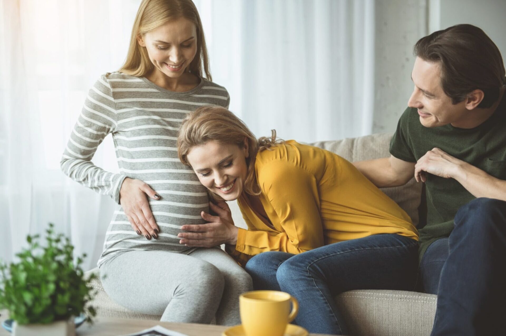 Navigating the Path to Parenthood: A Comprehensive Look at Surrogacy Processes