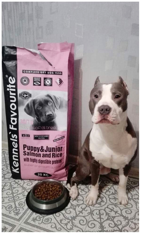 KENNEL`S FAVOURITE Puppy & Junior  - ლეკვის ზრადასრულ ასაკამდე, ორაგულით და ბრინჯით. 12,5კგ - Image 4