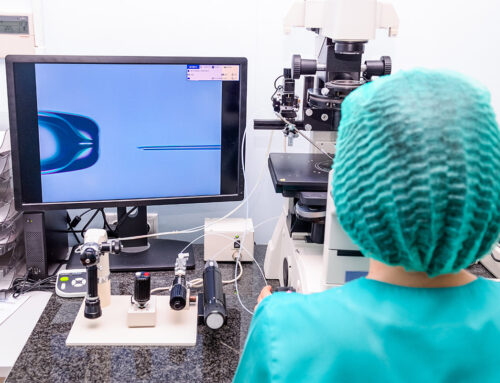 IVF Clinic Selection for Partnership: Challenges Behind the Scenes