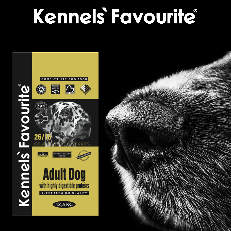 Kennels Favorite Adult - ზრდასრული ყველა ჯიშის ძაღლებისთვის | ინდაურით 12,5კგ - Image 7