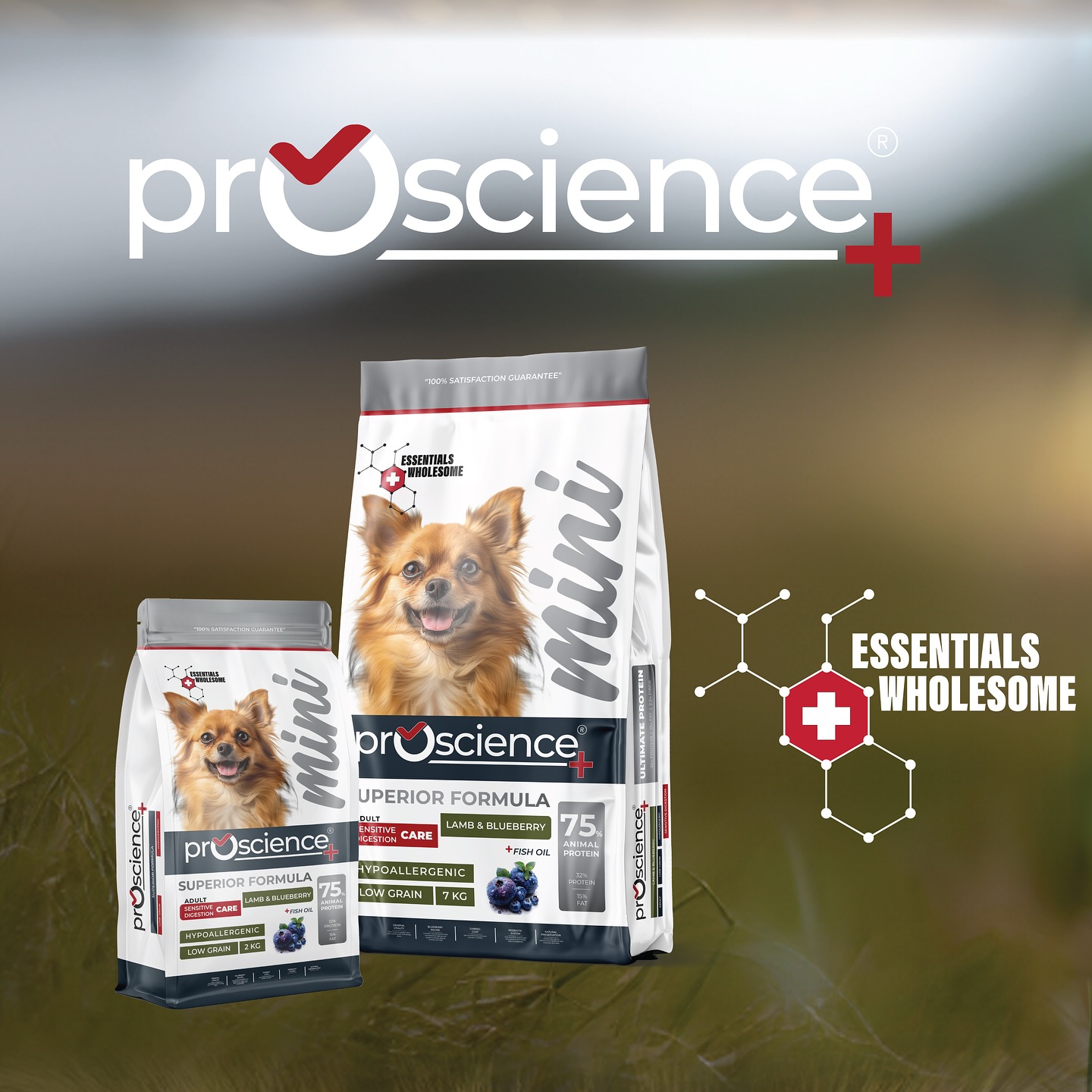 PRO SCIENCE- (ჰიპოალერგიული) სენსიტიური მონელებისთვის, საკვები პატარა ჯიშის ზრდასრული ძაღლებისთვის ბატკნის ხორცით, 2 კგ - Image 2