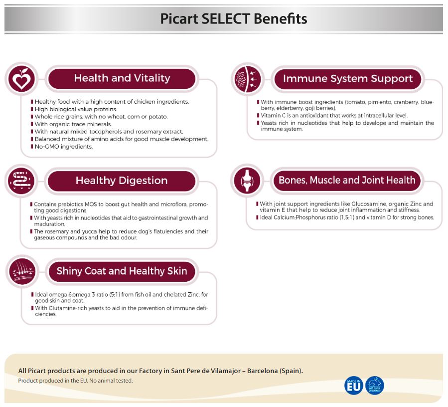 SELECT Maxi- დიდი ჯიშის ძაღლებისათვის | ქათმით და ბრინჯით 12კგ - Image 3