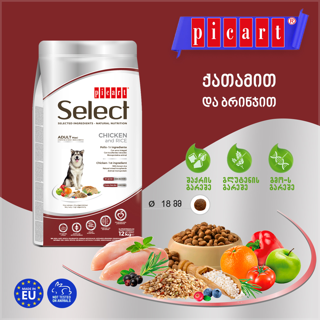 SELECT Maxi- დიდი ჯიშის ძაღლებისათვის | ქათმით და ბრინჯით 12კგ - Image 6