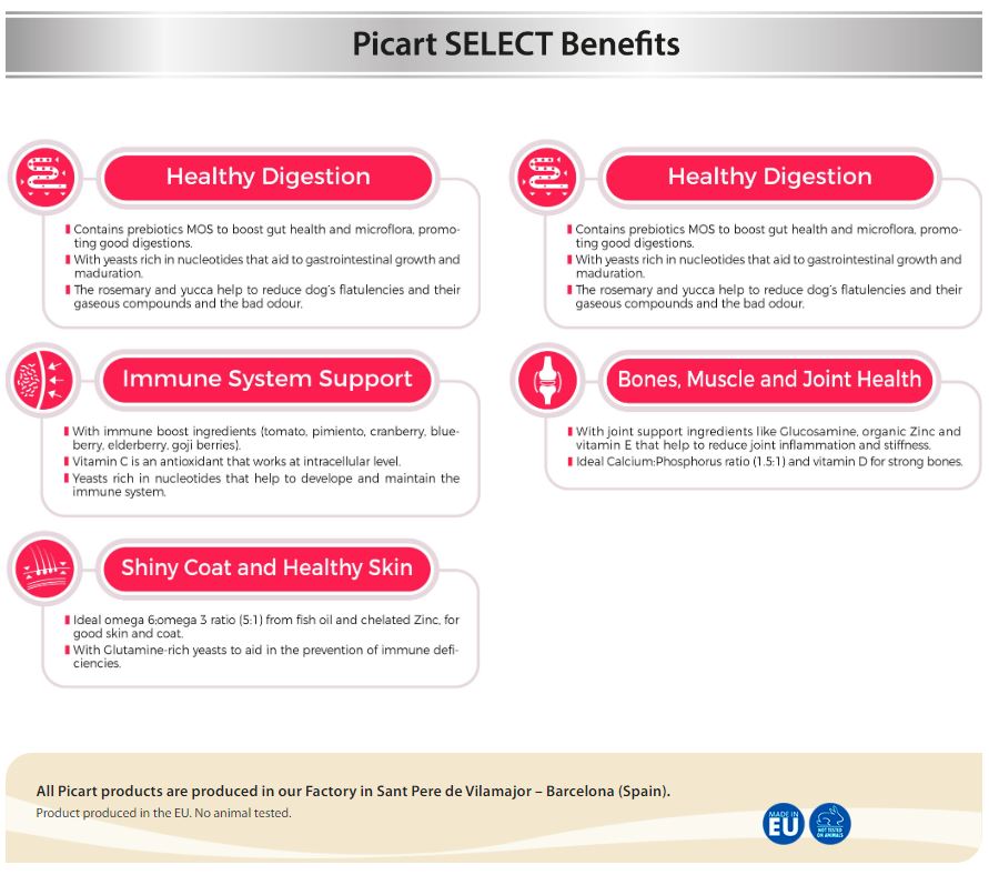 SELECT - ზრდასრული საშუალო ჯიშის ძაღლებისთვის, ქათმით და ბრინჯით 12კგ - Image 3