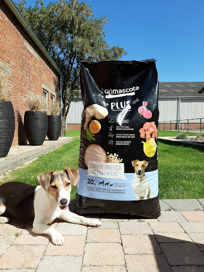 Bonmascota Plus - ზრდასრული პატარა ჯიშის ძაღლებისთვის 20კგ - Image 3