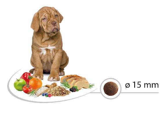 SELECT  PUPPY MAXI - დიდი ჯიშის ლეკვებისთვის 12კგ - Image 2