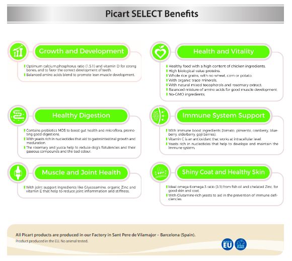 SELECT  PUPPY MAXI - დიდი ჯიშის ლეკვებისთვის 12კგ - Image 3