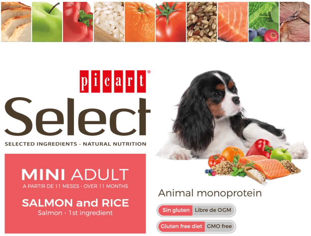 SELECT - მინი ჯიშის ზრდასრული , ორაგულით და ბრინჯი, 3კგ - Image 3