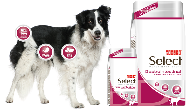 Select Veterinary Diets Gastrointestinal - კუჭ-ნაწლავის პრობლემებისთვის. 10კგ - Image 2