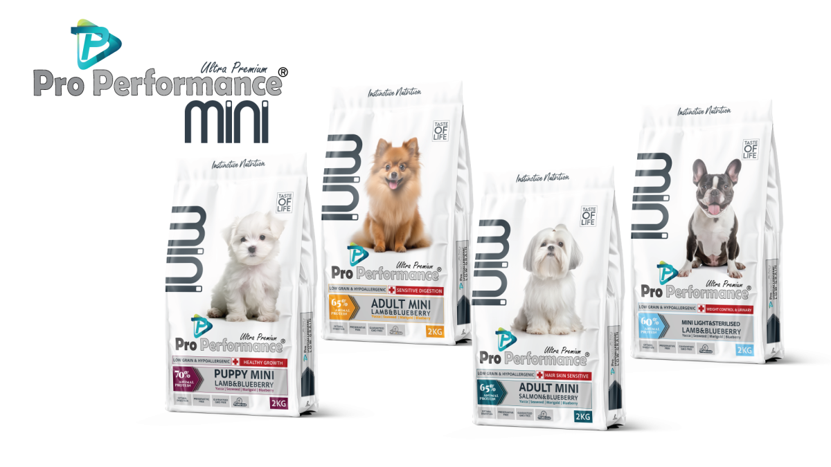 PRO PERFORMANCE - (ჰიპოალერგიული) სენსიტიური მონელებისთვის, საკვები პატარა ჯიშის ზრდასრული ძაღლებისთვის ბატკნის ხორცით, 2 კგ - Image 3