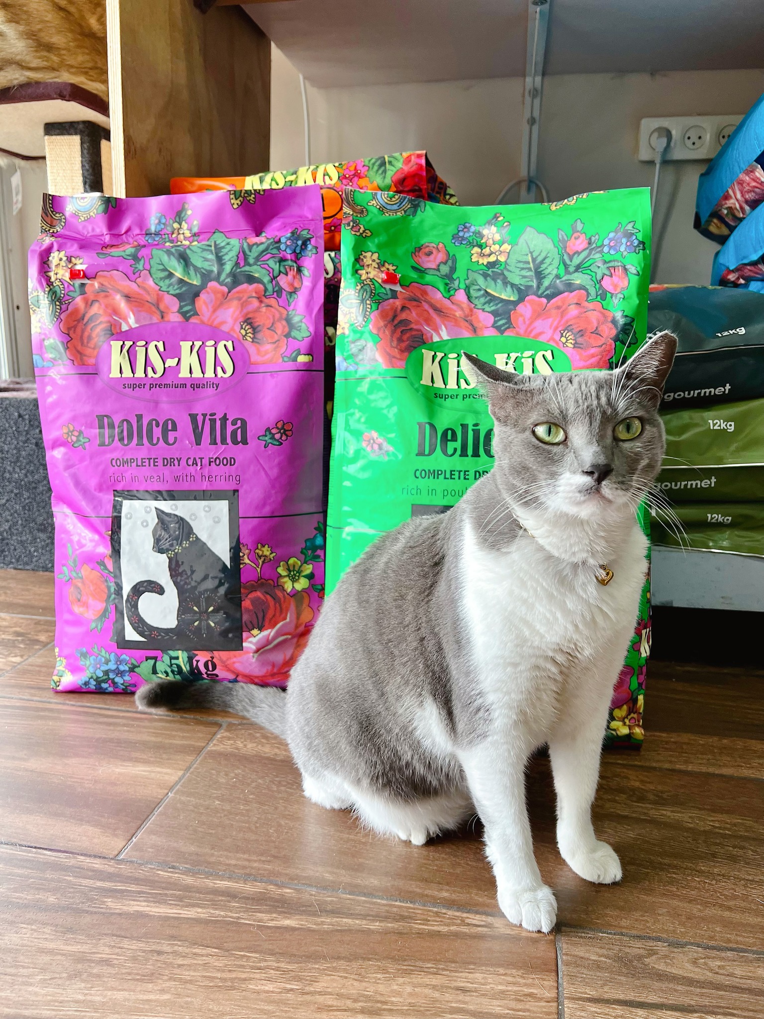 Kis-Kis Dolce Vita - ხბოს და ქაშაყის ხორცით 7,5კგ - Image 2