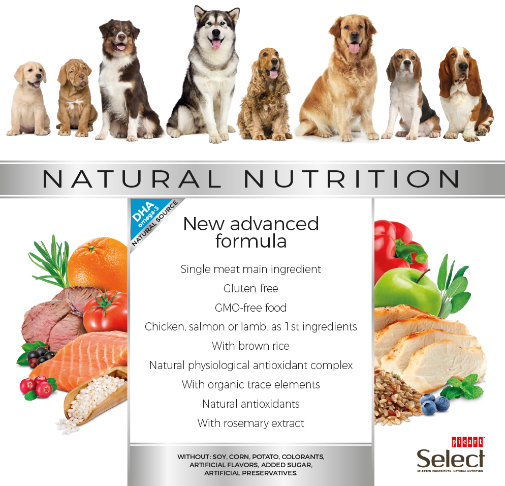 SELECT Professional STARTER - პროფესიონალური სტარტერი, ლეკვის და მეძუძური ძაღლების, 18კგ - Image 6