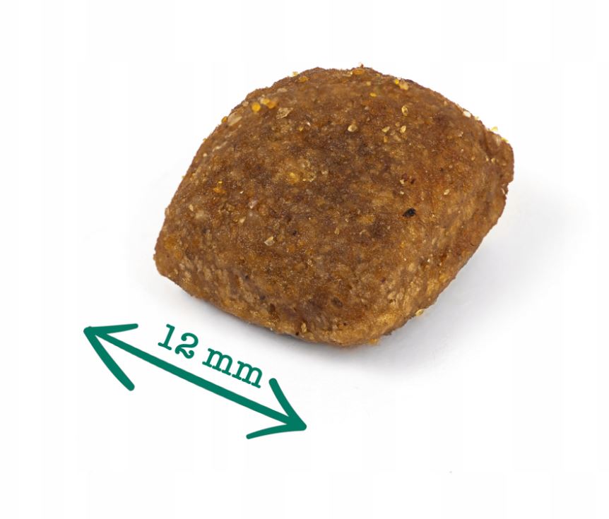 Dr.Trend Puppy Large -  სრული დაბალანსებული საკვები დიდი ჯიშის ლეკვებისთვის, ინდაურის ხორცით 15კგ. - Image 3