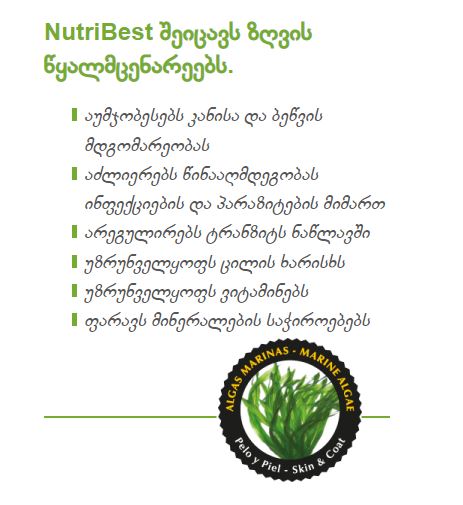 NutriBest Adult - ბატკანით და ბრინჯით, საშუალო და დიდი ჯიშის ზრდასრული ძაღლებისთვის, 15კგ - Image 5