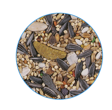 PRIMUS PARAKEET - საკვები ყველა სახეობის გრძელკუდა თუთიყუშებისთვის, 1კგ - Image 2