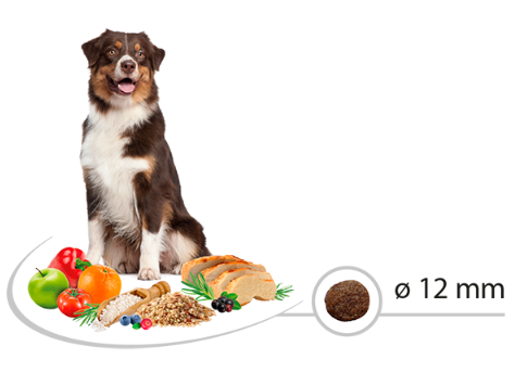 SELECT - ზრდასრული საშუალო ჯიშის ძაღლებისთვის, ქათმით და ბრინჯით 12კგ - Image 2