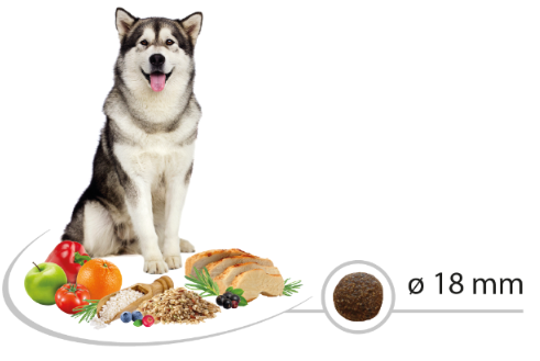 SELECT Maxi- დიდი ჯიშის ძაღლებისათვის | ქათმით და ბრინჯით 12კგ - Image 2