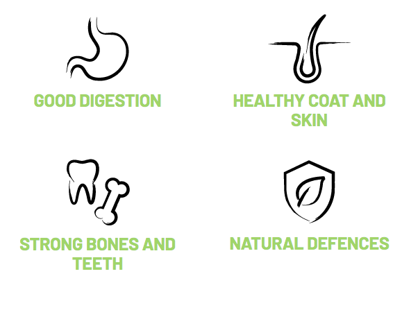 Bonmascota Daily - სრულფასოვანი და დაბალანსებული  საკვები ზრდასრული ძაღლებისთვის.  20კგ - Image 4