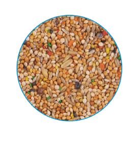 PRIMUS BUDGIE - საკვები ყველა სახეობის ტალღოვანი თუთიყუშებისათვის, 1კგ - Image 2