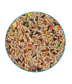 PRIMUS CANARY - საკვები ყველა სახეობის იადონებისათვის, 1კგ - Image 2