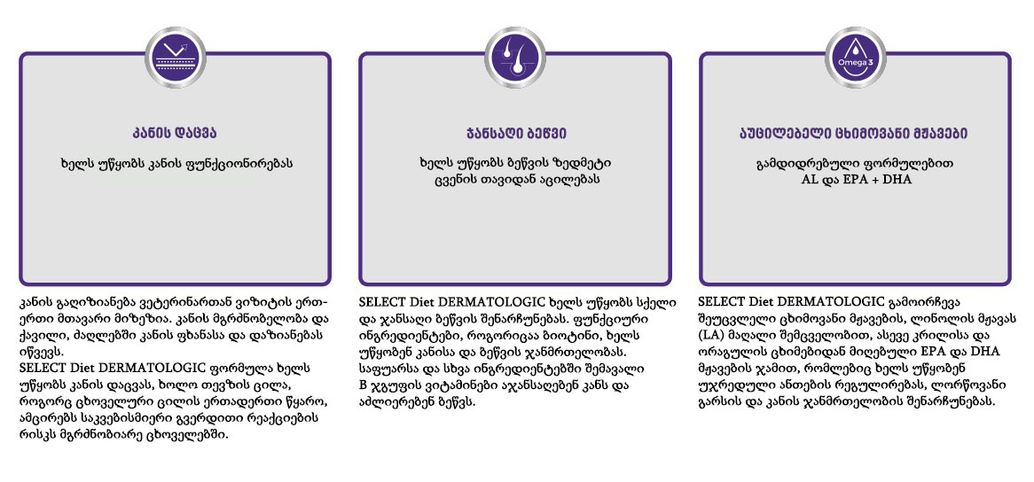 SELECT Diet DERMATOLOGIC - ჯანსაღი კანი და ბეწვი, 10კგ - Image 2