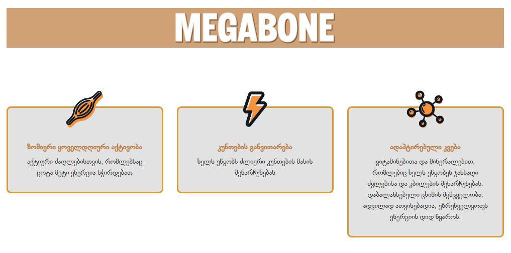 MEGABONE ENERGY - ზრდასრული ძაღლების ყოველდღიური მოვლისთვის მაღალი ფიზიკური დატვირთვით, 12კგ. - Image 2