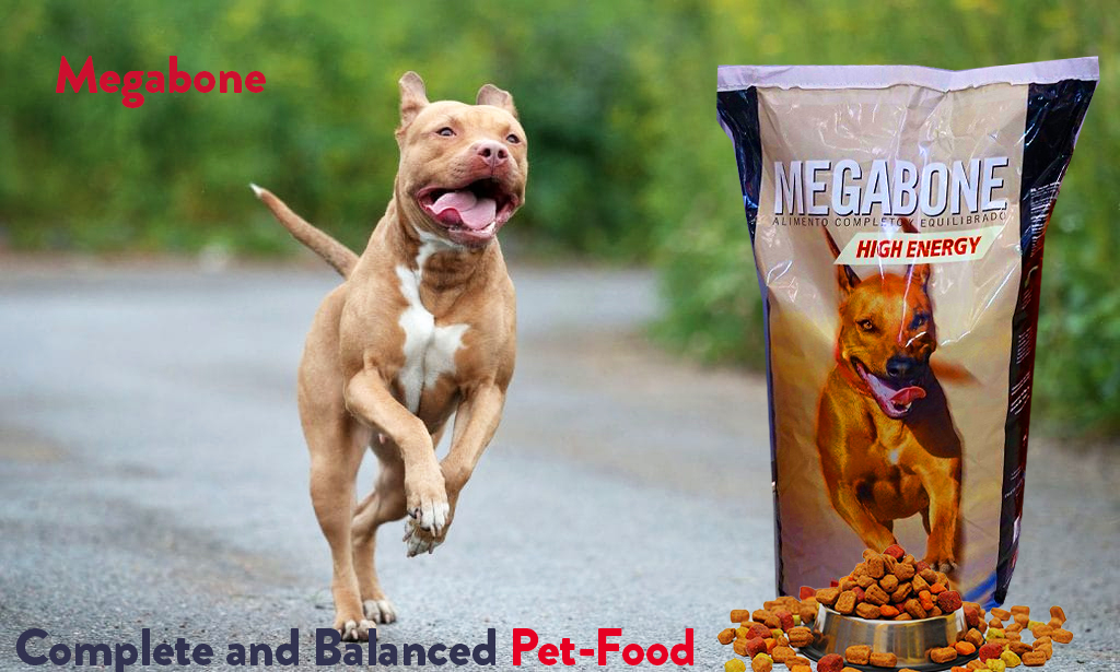 Megabone High Energy - მეგაბონი მაღალი ენერგია 20კგ - Image 2