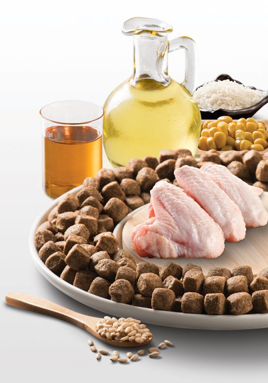 Kennels  Favourite Puppy&Junior+  -  დიდი ჯიშის  ლეკვებისთვის 12,5კგ - Image 5