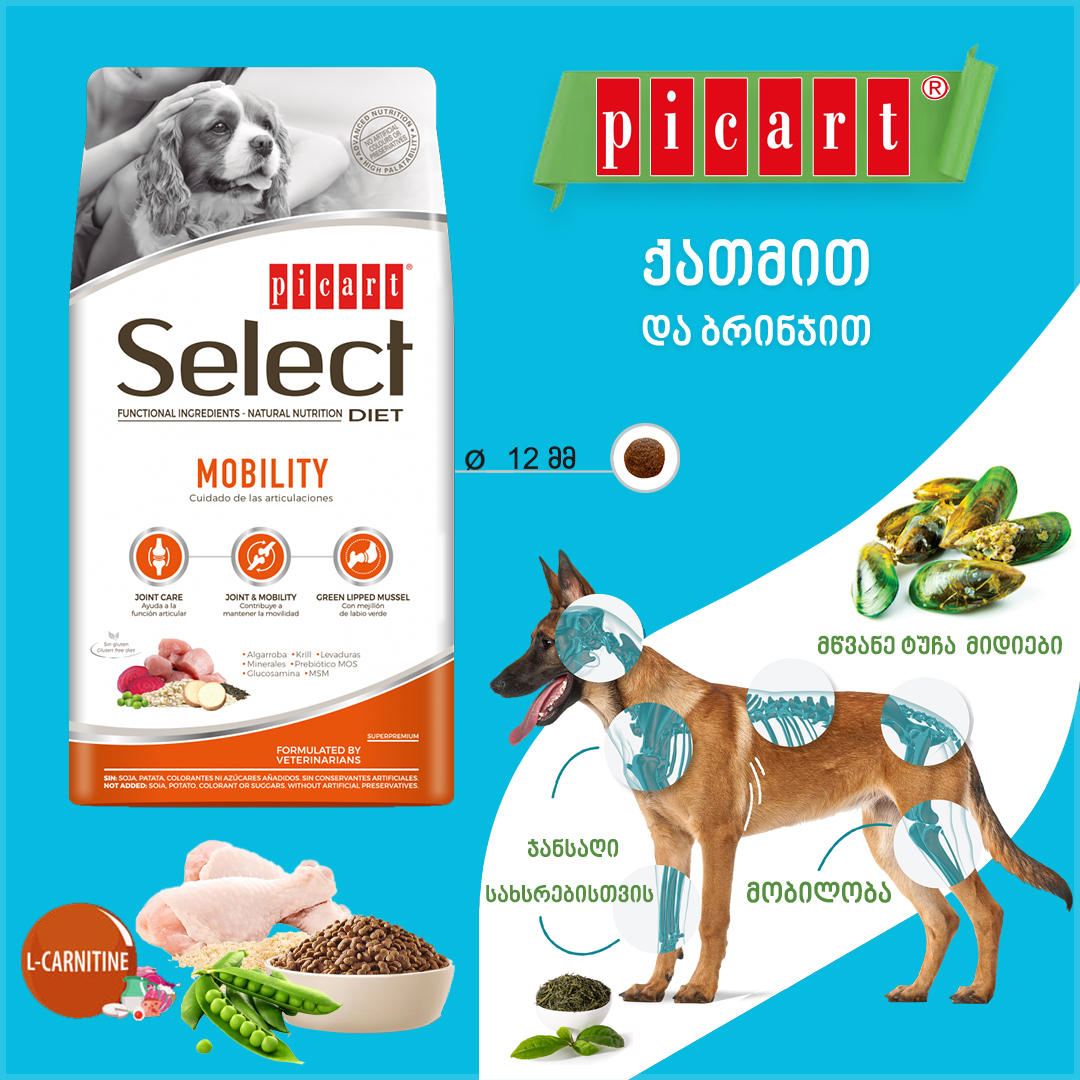 Select Diet MOBILITY - სახსრებისთვის 10კგ - Image 7