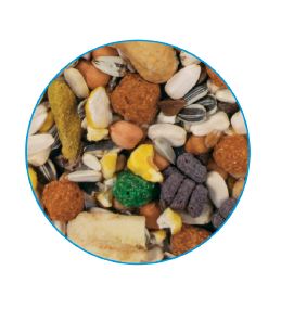 PRIMUS PARROT - საკვები დიდი ზომის თუთიყუშებისათვის, 800გრ. - Image 2