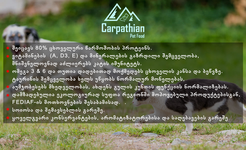 Carpathian Pet Food - საქონლის ხორცი სოუსში, ყველა ჯიშის ლეკვისთვის 100გრ. - Image 2
