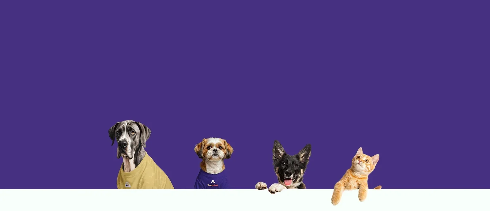 ZooPlus