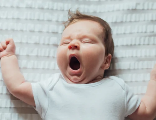 Surrogacy Terminology Every Intended Parent Should Know